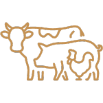 animali-ico animali-ico